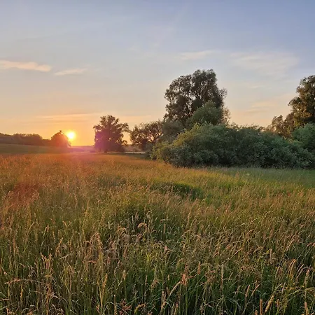 Dom wakacyjny Hochwertiges Tiny House Mit Wiesenblick 204 *